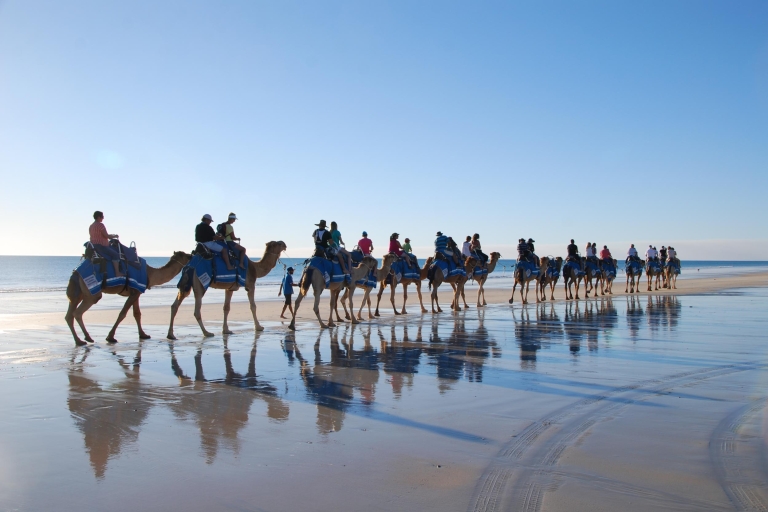 Djerba: Laguna Camel Ride Experience