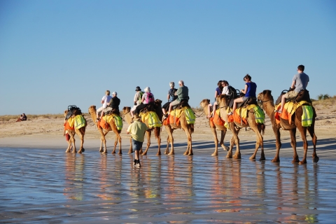 Djerba : balade en chameau au lagon