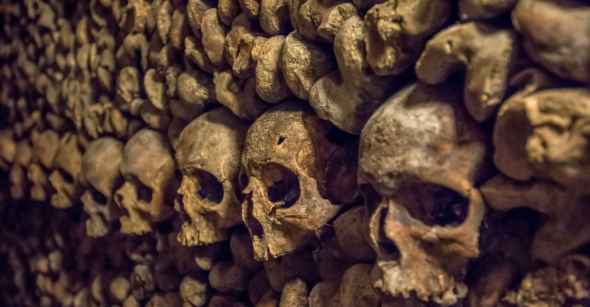 Paris: Catacombs Special Access Tour
