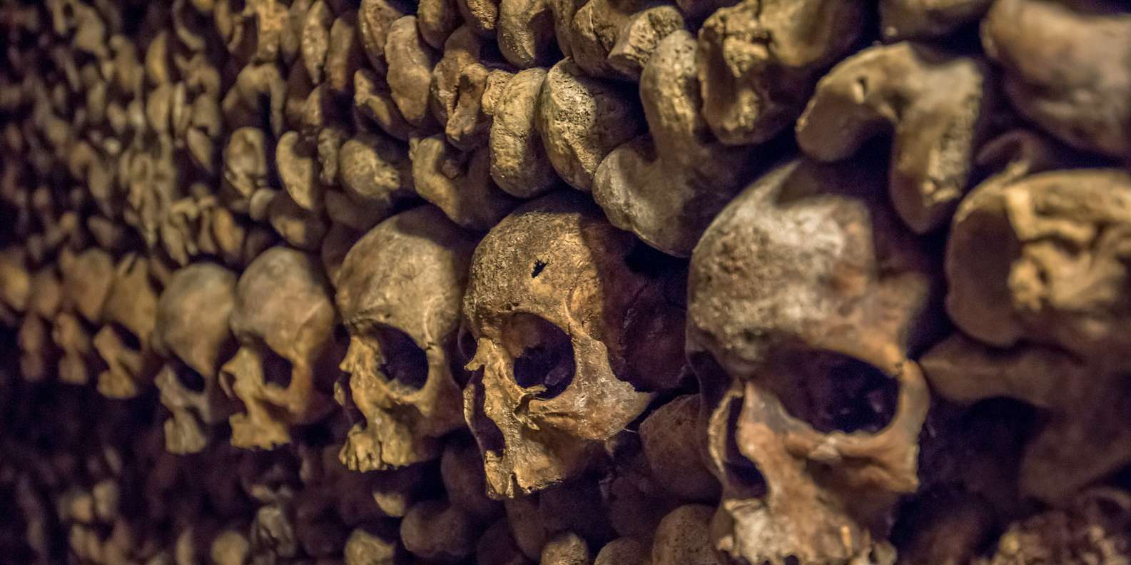 カタコンブ ド パリ 優先入場付き 特別エリア アクセス ツアー Getyourguide