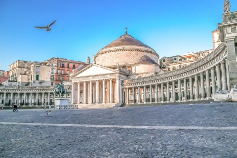Naples et Pompéi : visite intelligente d'une journée au départ de Rome : billet d'entréeOption classique