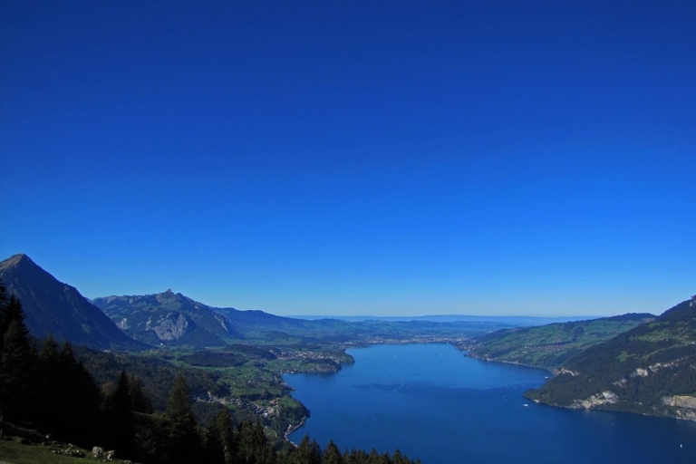 Van Genève: Paragliding en Interlaken Trip
