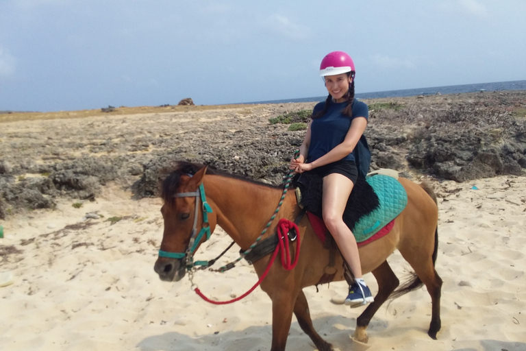 Tour privado a caballo por la playa y el parque nacional de Aruba ArikokPlaya para montar a caballo y Parque Nacional Arikok