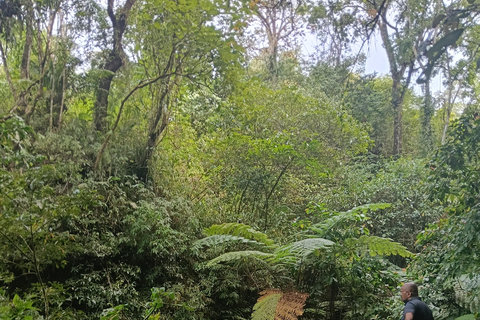 巴厘岛：莱松山两晚露营之旅·瀑布与玛永村探秘巴厘岛：2晚露营之旅，莱松山、瀑布与玛永村