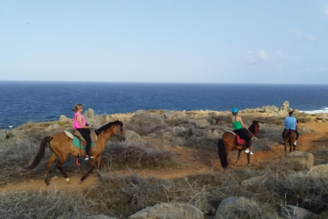 Aruba: privétour Arikok National Park & paardrijdenPaardrijden op het strand en Arikok National Park