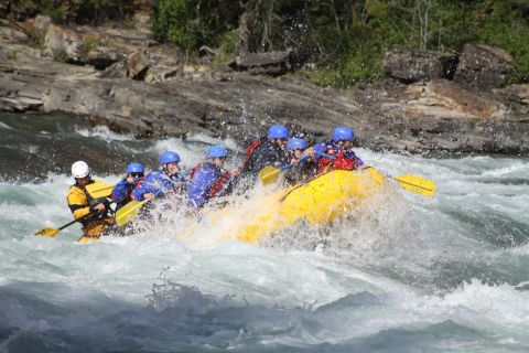Banff : Excursion matinale en rafting en eau vive dans le canyon Horseshoe