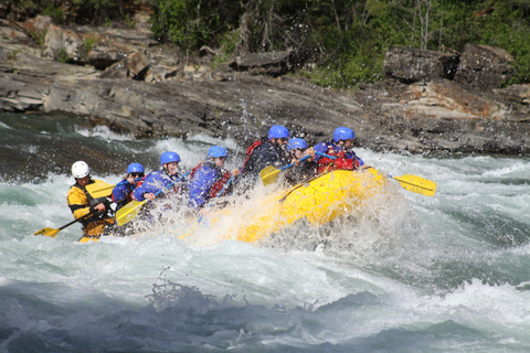 Banff: Excursión matinal en rafting por el Cañón de la HerraduraRecorrido sin transporte