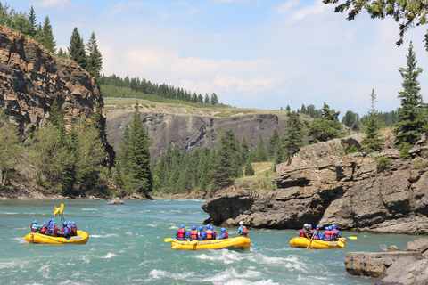 Banff: Whitewater Rafting-tour in de ochtend in Horseshoe CanyonTour zonder vervoer