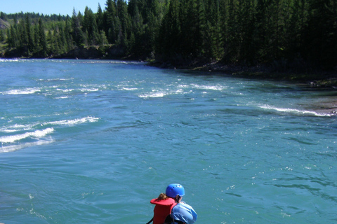 Banff: tour mattutino di rafting sulle rapide nell&#039;Horseshoe CanyonTour senza trasporto