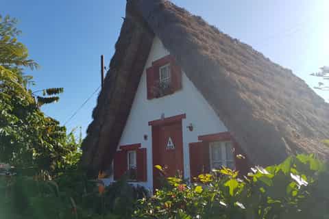 Madeira: Private North Island Tour