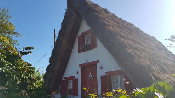 madeira tour privato dellisola del nord