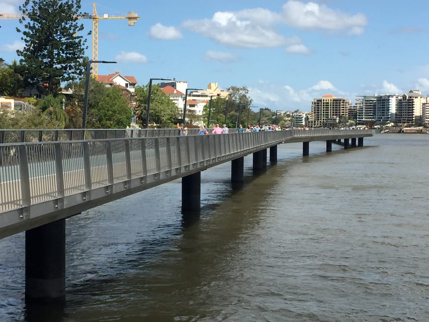 Lone Pine and Brisbane City Highlights GetYourGuide