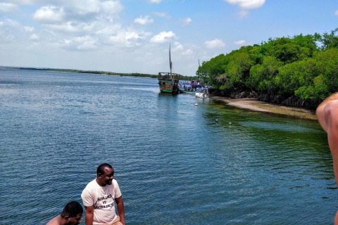 De Mombasa: parc marin de Watamu et excursion sur l'île de SudiTour de Mombasa
