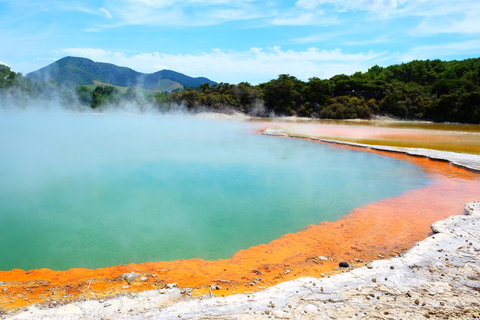 Tour em pequenos grupos de Auckland a Rotorua e itens extras de atividadesExcursão a Rotorua com caminhada pelas sequoias e entrada no Polynesian Spa