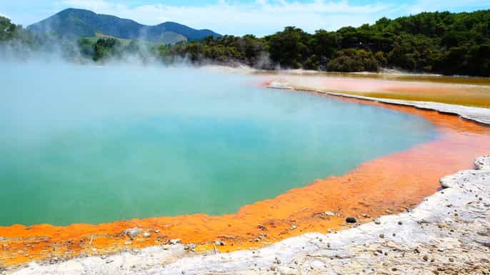 auckland to rotorua small group tour activity addons