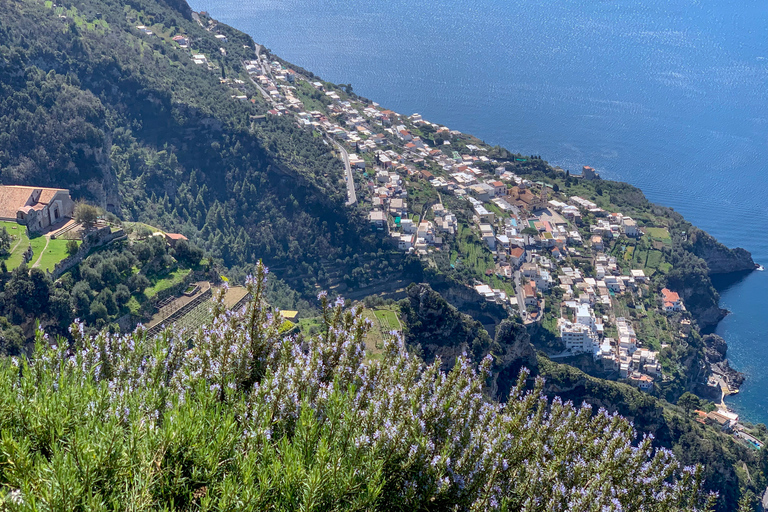 Costa de Amalfi: Recorrido Privado a Pie por la Senda de los DiosesRuta Privada a Pie por el Camino de los Dioses