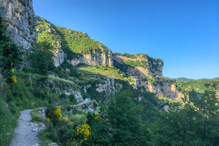 Amalfikust: Pad van de Goden privé wandeltourPath of the Gods privéwandeling