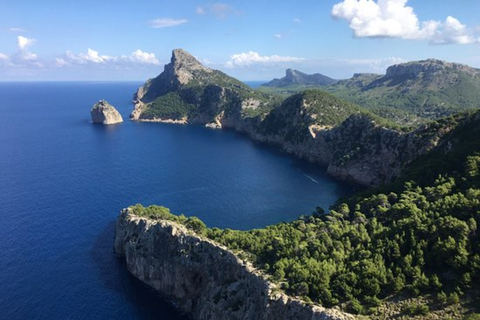 Mallorca: Alcudia Old Town, Market, and Formentor Beach Mallorca: Alcudia, Market and Formentor - Levante Pickup