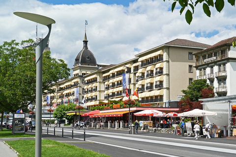 De Genève: excursion d'une journée à Interlaken