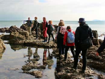 Howth: Safari-Wandertour mit ortskundigem Guide Howth: Safari-Wandertour mit ortskundigem Guide