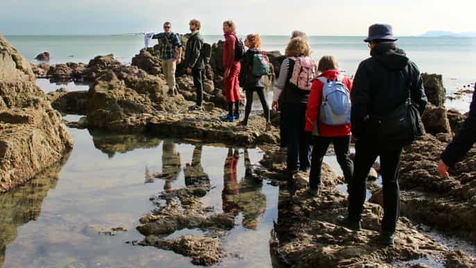 howth percorso trekking e safari