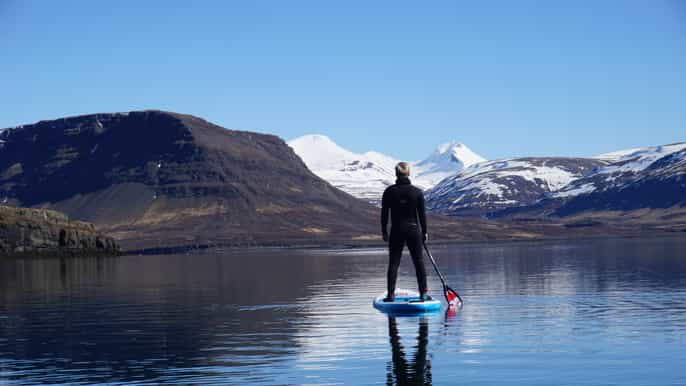 from reykjavík forgotten fjords stand up paddleboard tour