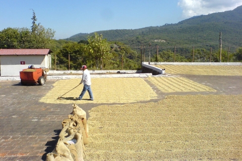 Boon-naar-Spa: Koffieplant en thermale ontspanningsrondleidingVanuit San Salvador: rondleiding door thermale spa en koffieplant