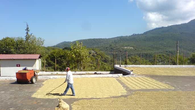 de san salvador spa termal e excursão à fábrica de café
