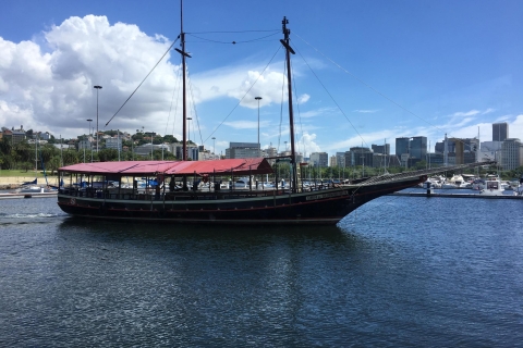 Río desde el mar: crucero bahía de Guanabara con almuerzoTour privado con almuerzo