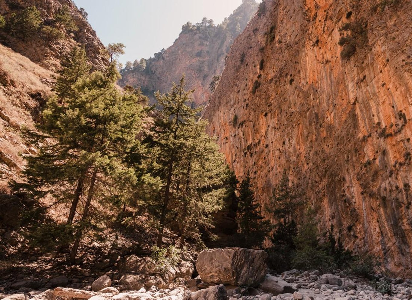 Fra Chania: Heldagsudflugt i Samaria-kløften med guide
