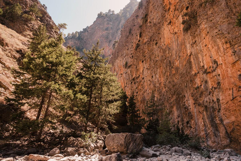 Desde Georgioupolis Ruta de un día por la Garganta de Samaria con guía