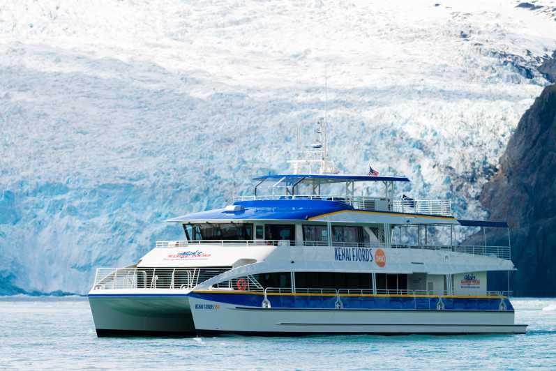 6 hour kenai fjords cruise