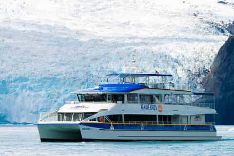 Seward: Kenai Fjords National Park 6-Hour Cruise