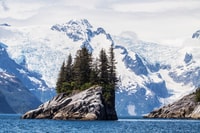 Seward, Kenai Fjords National Park Cruise de 6 horas - Housity