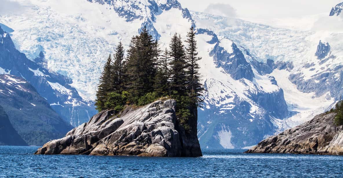 Seward: Kenai Fjords National Park 6-Hour Cruise