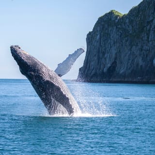 Kenai Fjords National Park, Seward - Book Tickets & Tours | GetYourGuide