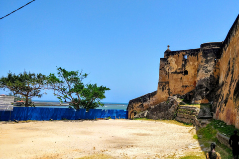 Mombasa: City Tour with Fort Jesus & Haller Park Entrance Tour from Kilifi