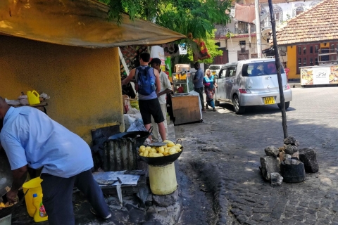 Mombasa: visite de la ville avec Fort Jesus et l'entrée du parc HallerTour de Vipingo et Kikambala