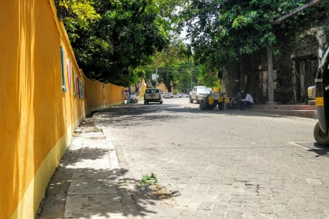Mombasa: visite de la ville avec Fort Jesus et l'entrée du parc HallerTour de Diani