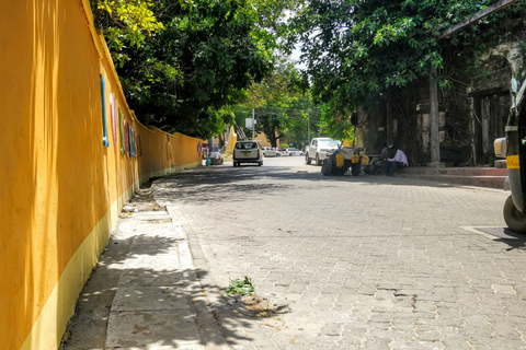 Mombasa: Stadtrundfahrt mit Fort Jesus & Haller Park ZutrittTour ab Kilifi