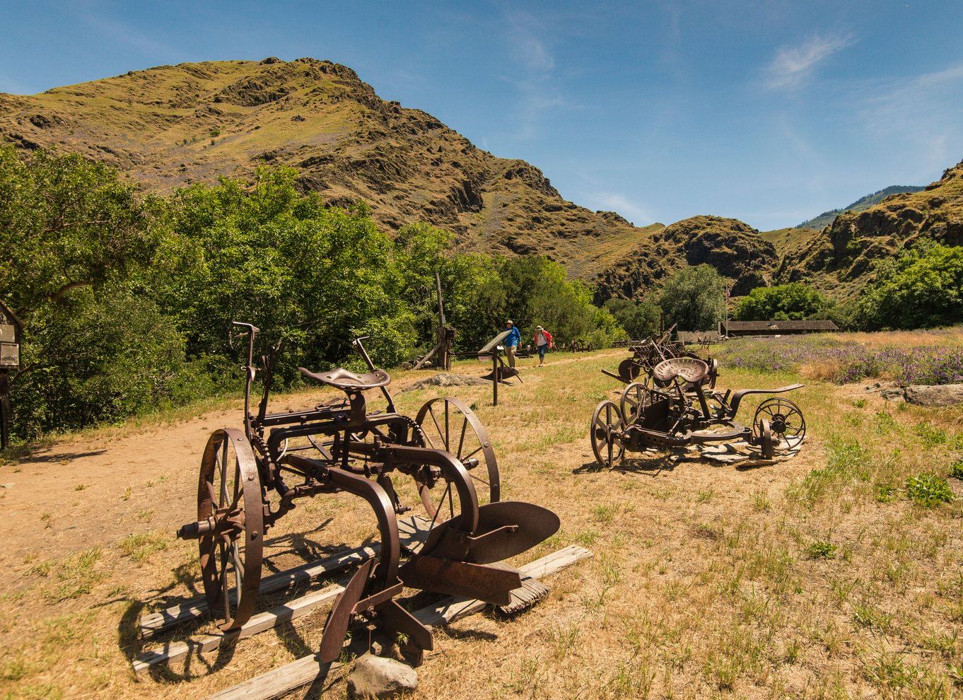 Hells Canyon: Yellow Jet bådtur til Kirkwood, Snake River