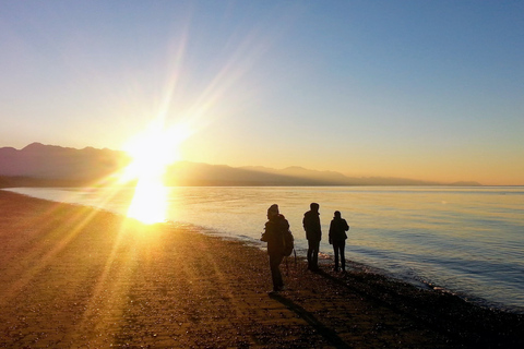 Seattle: Olympic National Park Small-Group Tour Seattle: Olympic National Park Small Group Tour