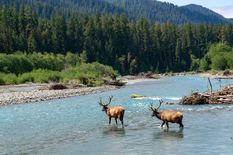 Seattle: Olympic National Park Small-Group Tour Seattle: Olympic National Park Small Group Tour