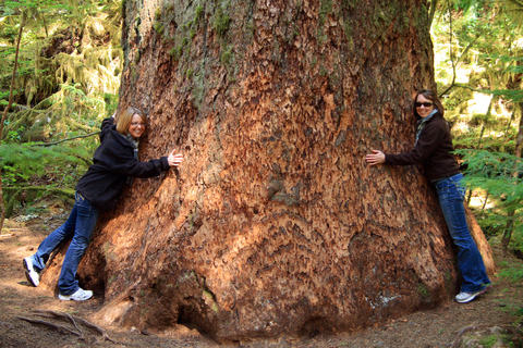 Seattle: Olympic National Park Small-Group Tour Seattle: Olympic National Park Small Group Tour