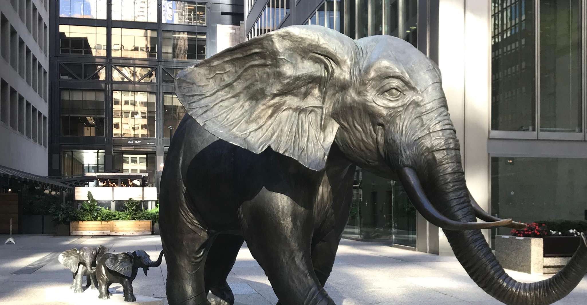 Tour a pie por Toronto, PATH Underground City - Hizvo