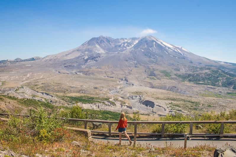 are dogs allowed in mt st helens national monument