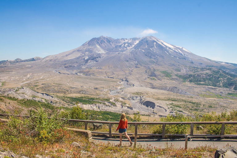 Seattle: Mt. St. Helens National Monument Small Group Tour Seattle: Mt St. Helens National Monument Small Group Tour