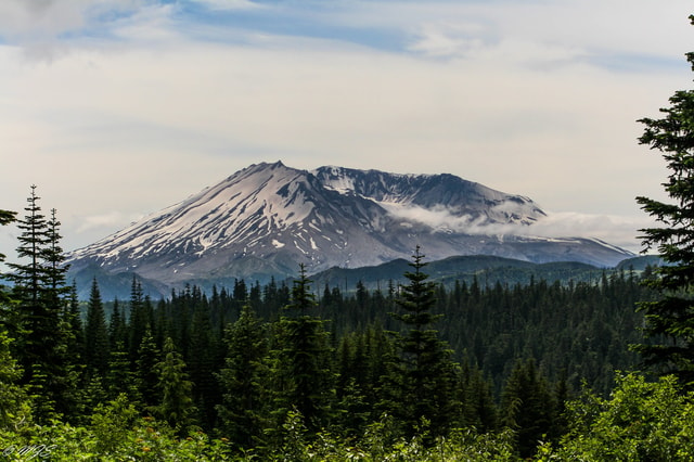 Seattle: Mt. St. Helens National Monument Small Group Tour