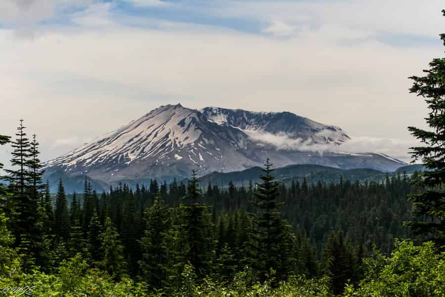 Seattle: Mt. St. Helens National Monument Small Group Tour. Foto: GetYourGuide