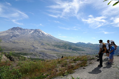 Seattle: Mt. St. Helens National Monument Small Group Tour Seattle: Mt St. Helens National Monument Small Group Tour
